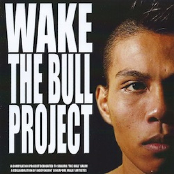 画像1: WAKE THE BULL PROJECT コンピレーション (1)