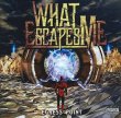 画像1: WHAT ESCAPES ME “Egress Point” CD-R (1)