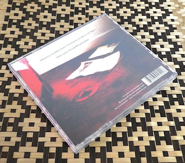 画像5: SUBTERRANEAN MASQUERADE "Temporary Psychotic State" (5)