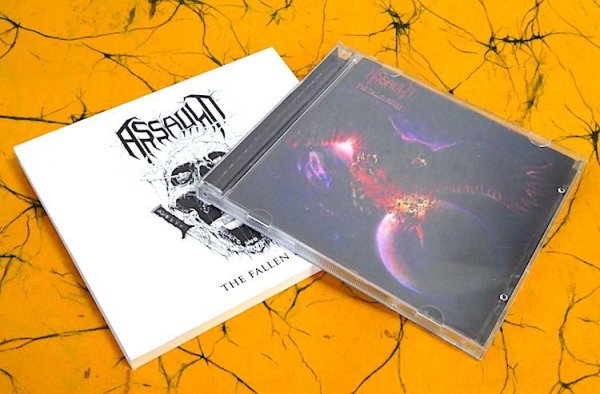 画像4: ASSAULT "The Fallen Reich" (4)