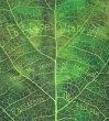 画像1: PASSAKORN MORASILPIN "Foliage Diary III : From The Veins Of The Leaf" (1)