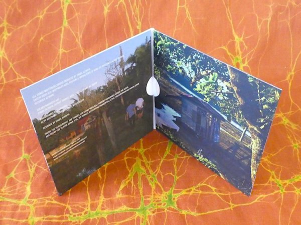 画像3: GOLDEN MAMMOTH "Metaphoric Quadraphonic" CD-R (3)