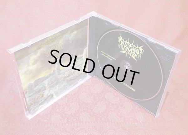 画像3: AL-NAMROOD "10 Years Of Resistance" (3)