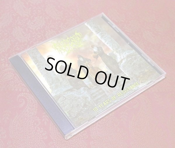 画像2: AL-NAMROOD "10 Years Of Resistance" (2)