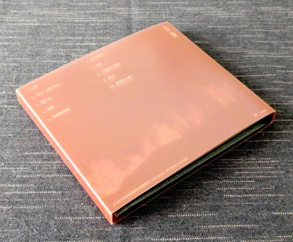 画像3: PINK NOISE "告別" (3)