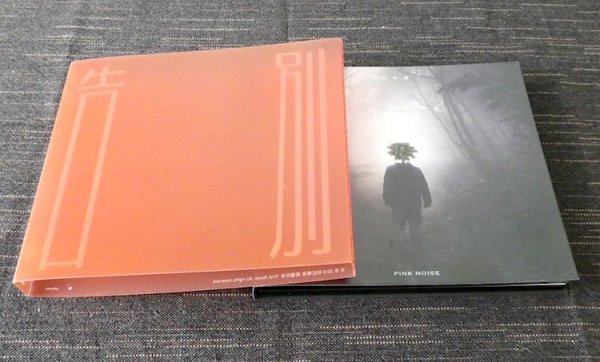 画像4: PINK NOISE "告別" (4)
