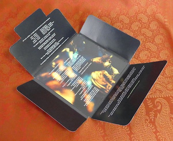 画像4: ECCENTRIC PENDULUM "Tellurian Concepts" CD-R (4)