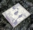 画像2: ELCROST "Foregone Fables" CD-R (2)